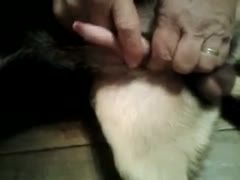 In this bizarre amateur beast porn film, a sexually aroused man explores his dog's pecker and more.